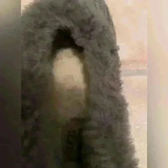 UGH gray, fuzzy slipper socks with hard sole/ Model # 3314; size 9 - Picture 4 of 7